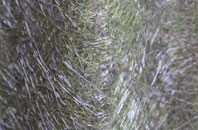 Argos Hill fibreglass roof work